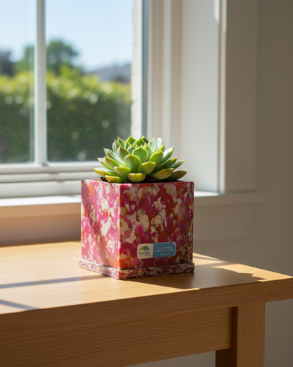 EcoRoot Planter