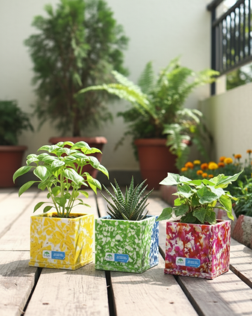 EcoRoot Planter